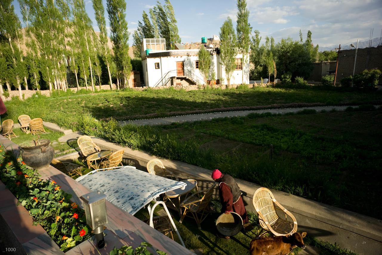 Silver Cloud Ladakh Leh Exterior foto